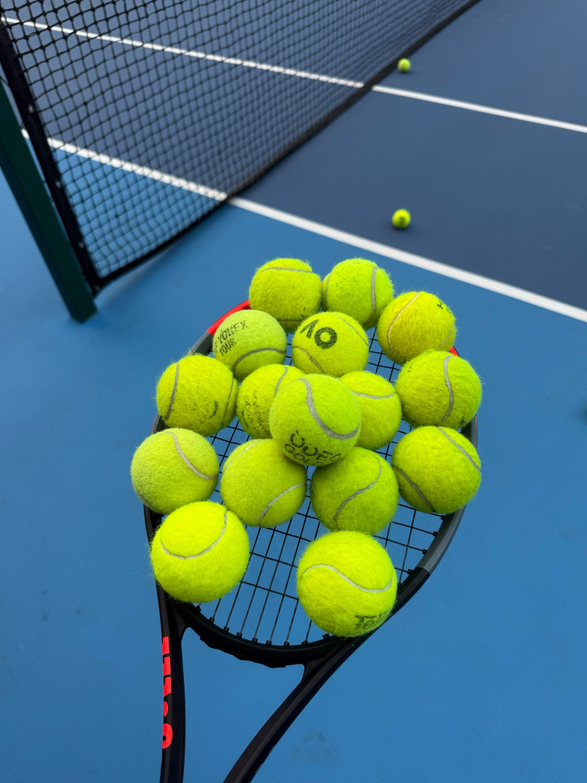 下的战术蜕 下的战术蜕