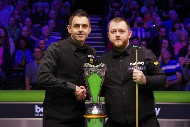 的男子排球 的男子排球