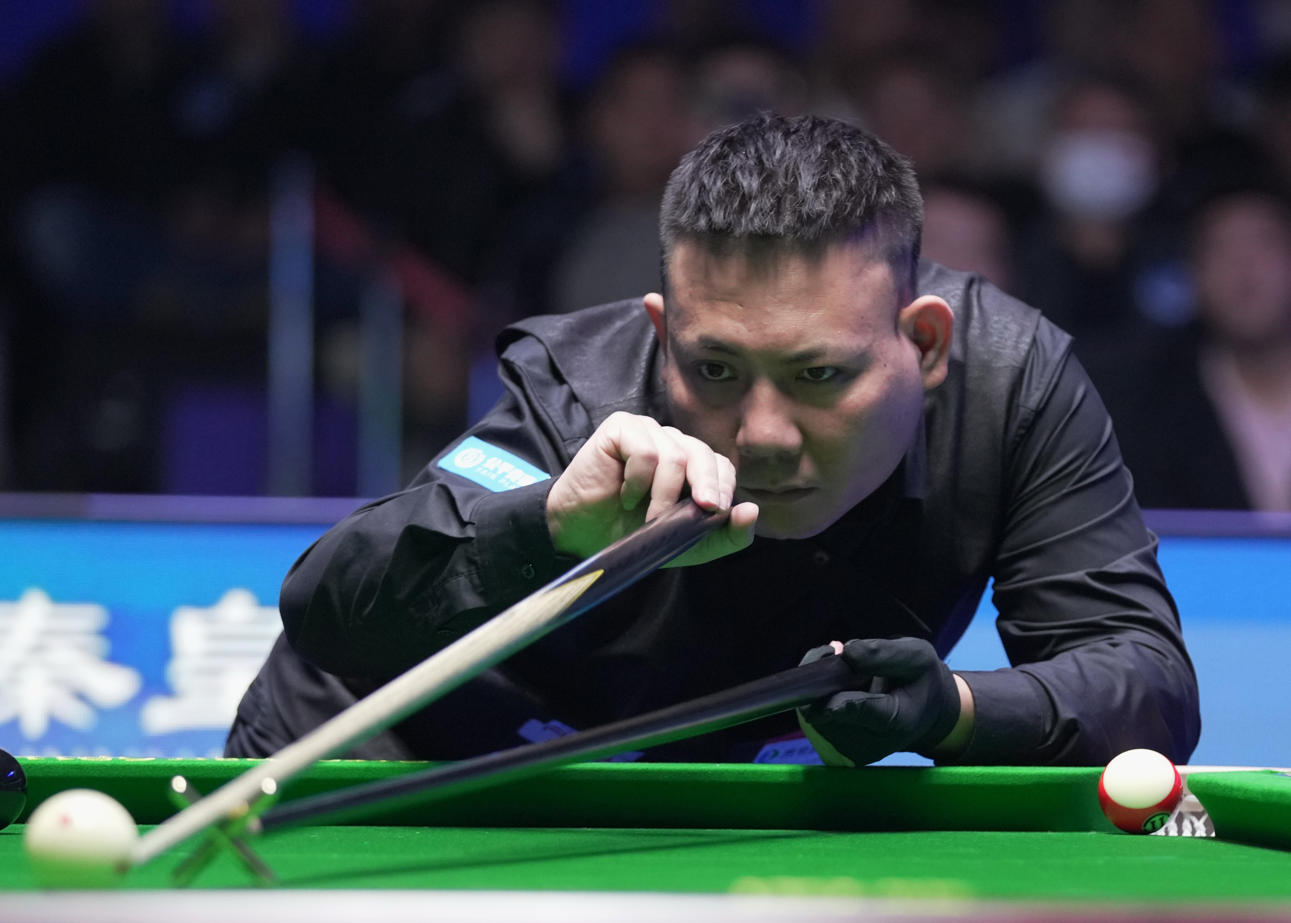 不仅让观众 不仅让观众