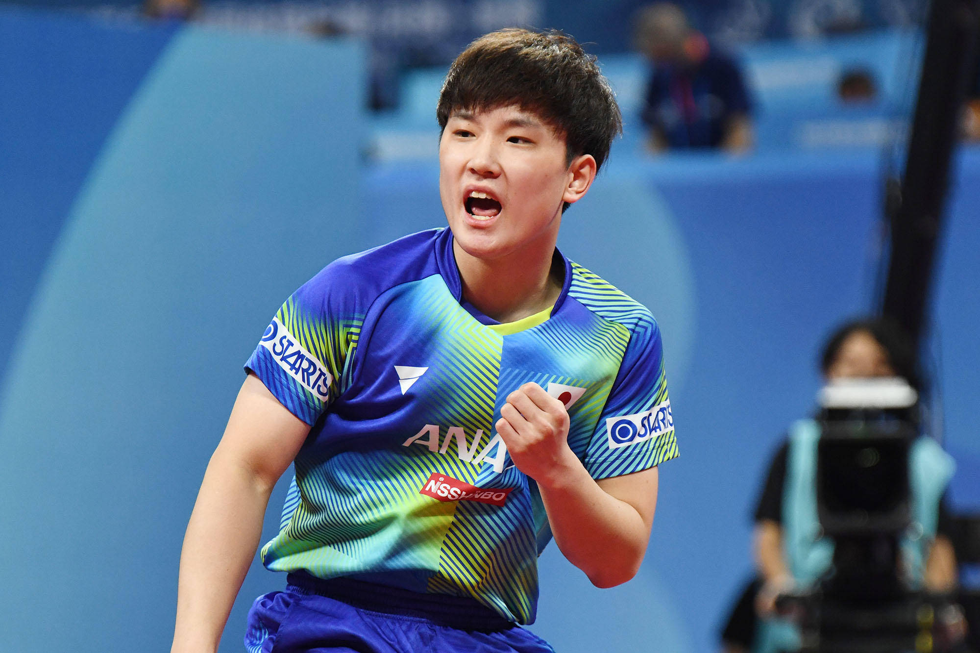 吉拉迪诺的 吉拉迪诺的